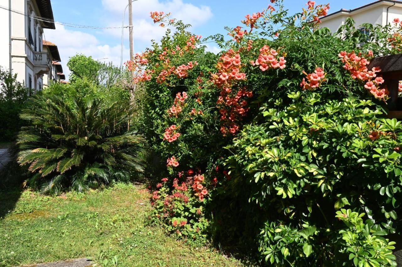 Mehari Bed and breakfast