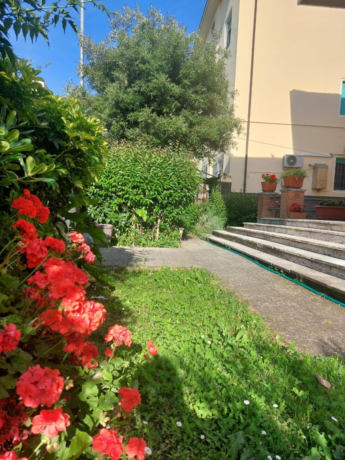 Mehari Bed & Breakfast Pisa